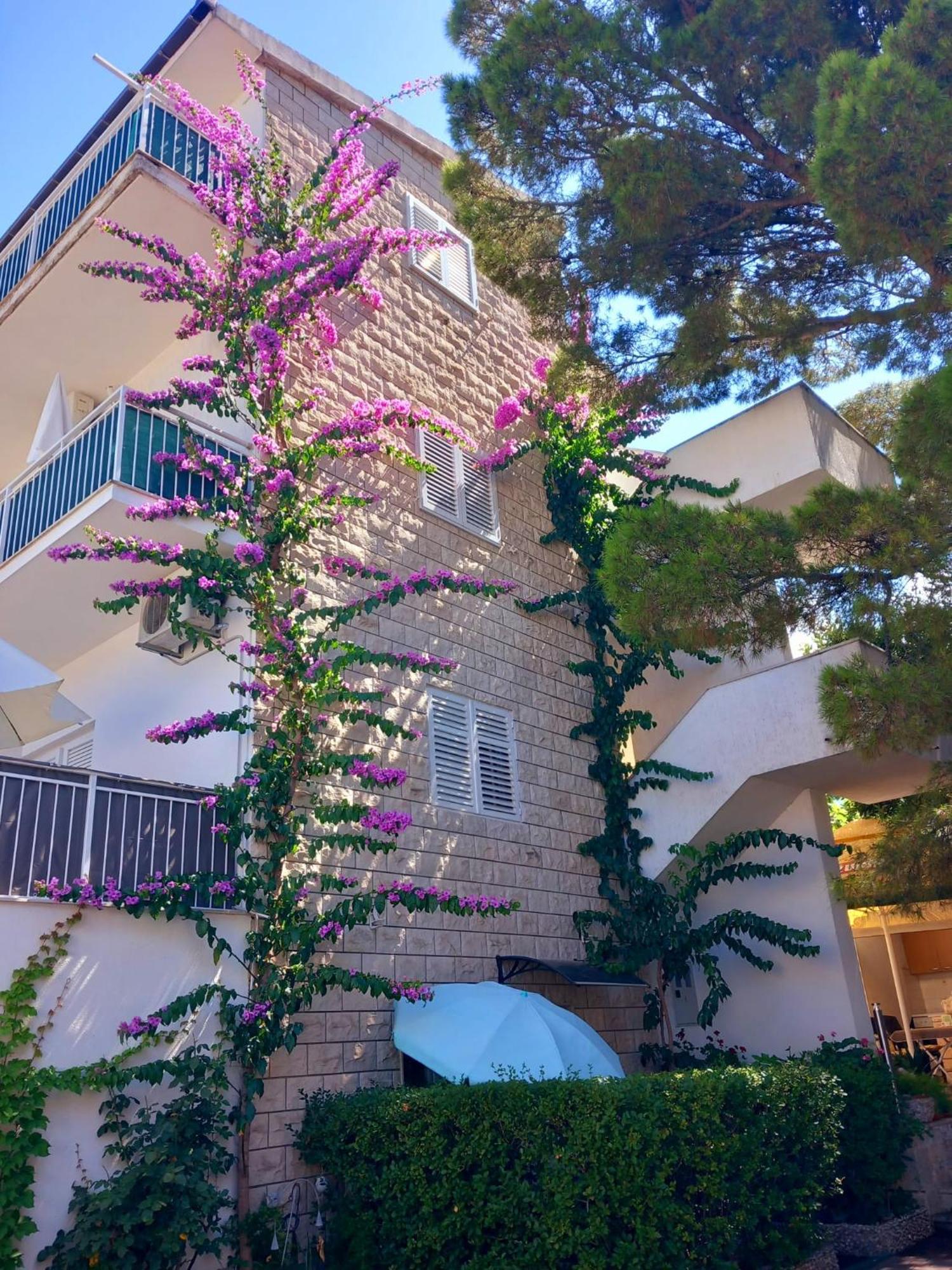 Apartmani Omrcen Baska Voda Exterior photo
